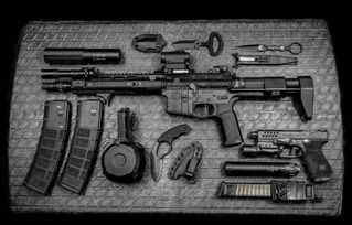 ar 10 vs scar 17,AR-10 vs. SCAR-17: A Comprehensive Comparison