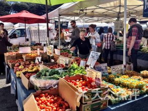 farmers market fort smith ar,Market Layout and Hours