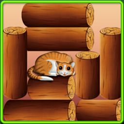 cat rescue little rock ar,Cat Rescue Little Rock AR: A Comprehensive Guide