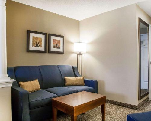 comfort inn and suites conway ar,Accommodations