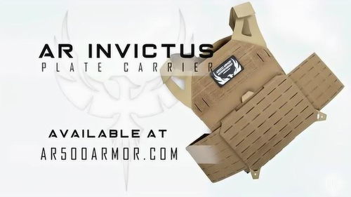 ar invictus plate carrier review,Design and Build Quality